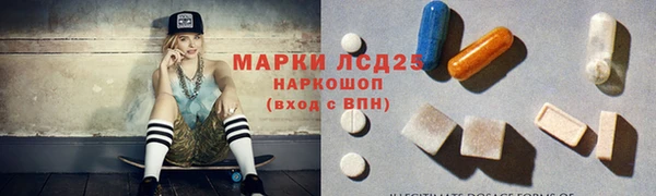 сатива Новозыбков
