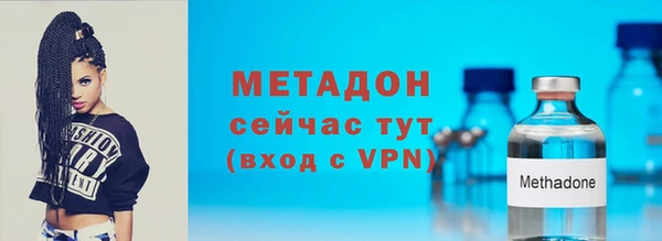 сатива Новозыбков