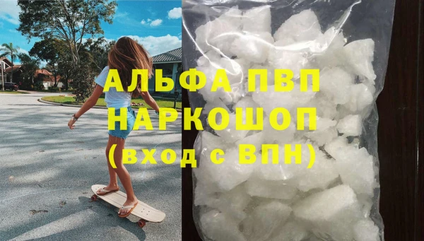 сатива Новозыбков