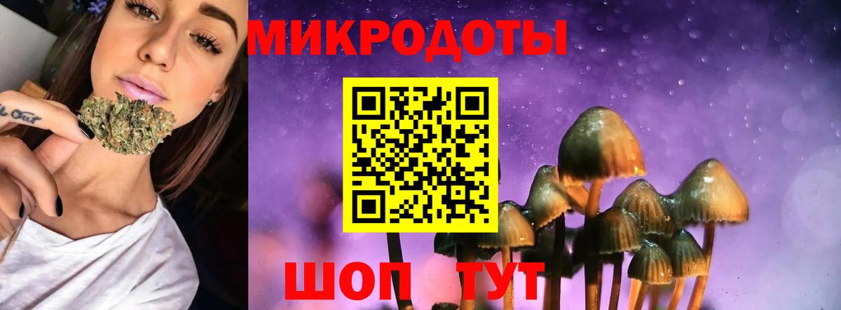 Галлюциногенные грибы Psilocybe  Вход с VPN  Псилоцибиновые грибы Magic Shrooms  Коркино 
