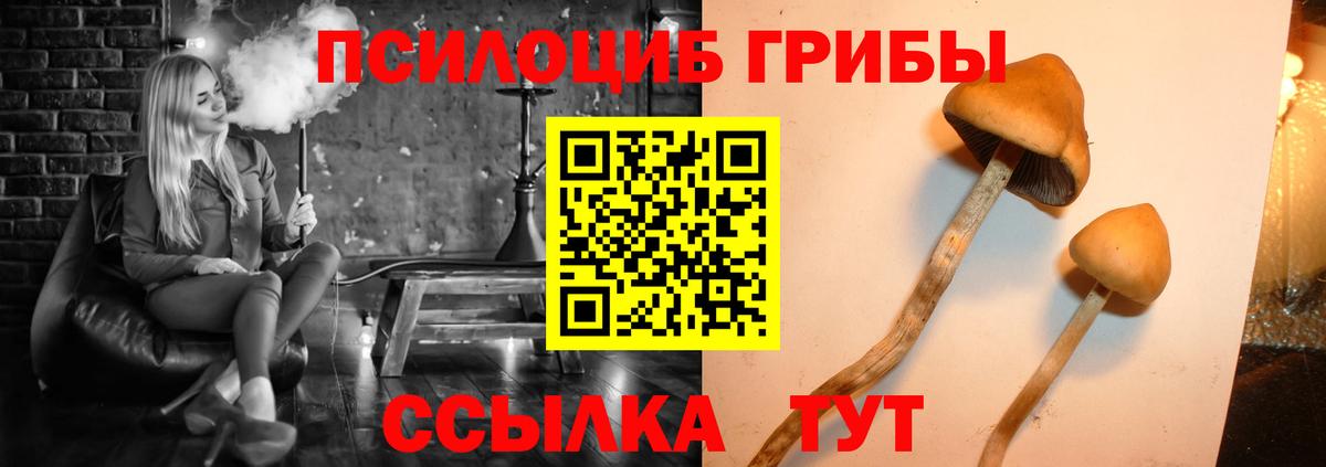 Галлюциногенные грибы мицелий  Псилоцибиновые грибы ЛСД  Коркино 